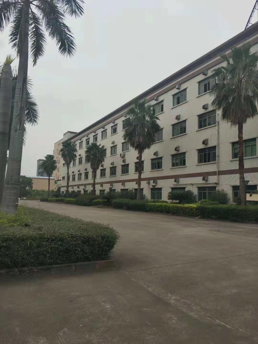 东莞常平原房东独院厂房分租一楼2500平方可办环评